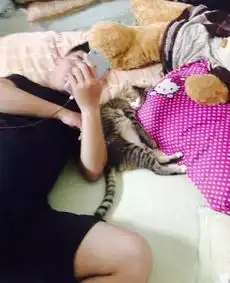  男友不同意女友养猫,女友强养了之后,男友就出轨了,原来...