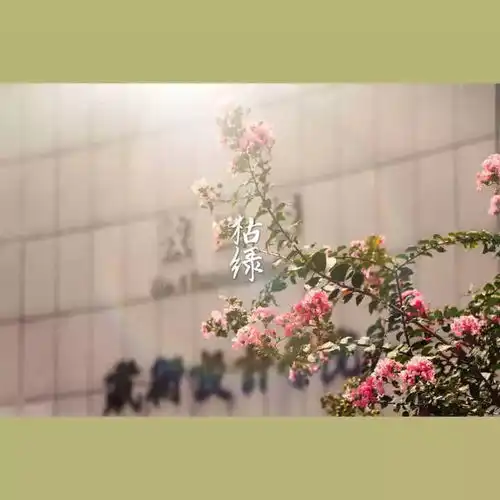  湖工高级莫兰迪色系,让你一次看个够