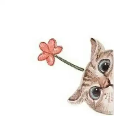  左边探出头的猫咪图片头上有一个草,另一半有吗
