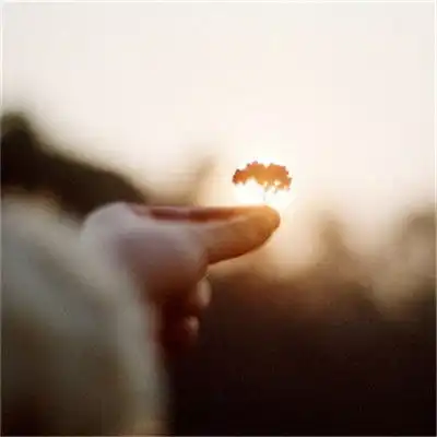 简单的头像干净清新,别样的雅致美感 简单的头像干净清新,别样的雅致美感