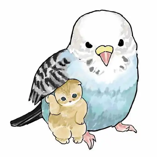  漫画小揪揪带奶猫,二次元版小揪揪孵奶猫