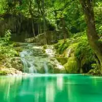  微信头像绿风景图微信头像图片大全