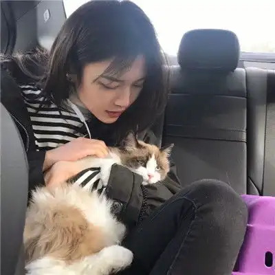  女生和猫狗在一起的头像2018奋斗正当时要么玩命要么逃避