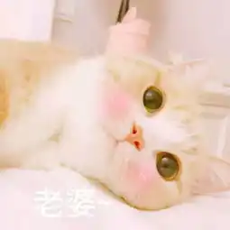  头像有女朋友的赶紧换上