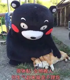 猫系女友头像头像图片动