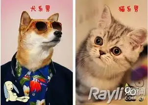 猫系男犬系男你爱哪一种