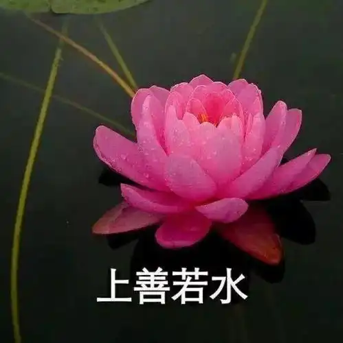  7月必备100张微信头像,赶快换上