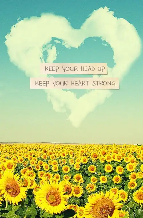 星空物语花花草草碧海蓝天风景文字插堆糖,美好生活研究所 星空物语花花草草碧海蓝天风景文字插堆糖,美好生活研究所