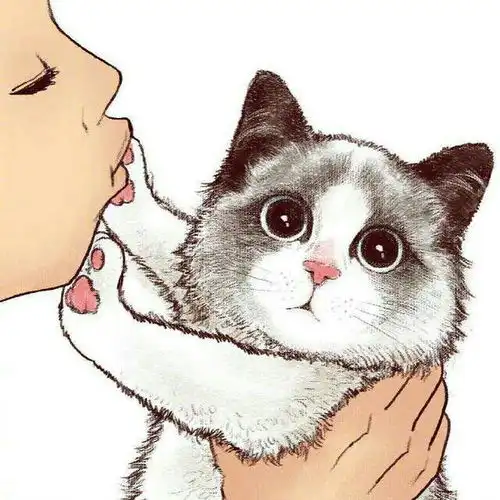 猫系头像二次元泛娱乐