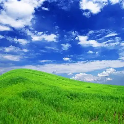 绿色的风景微信头像