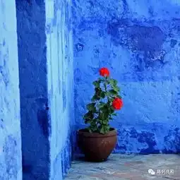 红色蓝色,竟然这么好看 红色蓝色,竟然这么好看