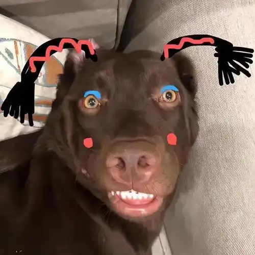  告别emo的搞怪头像