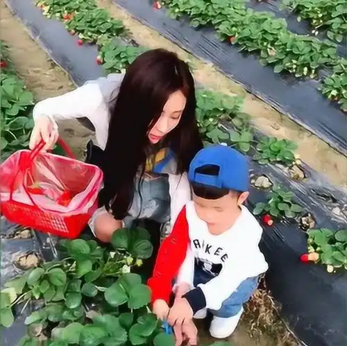  美女小姨带着小外甥去采草莓,因为小外甥的爸爸喜欢吃草莓
