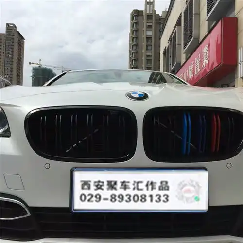 道系的微信头像宝马