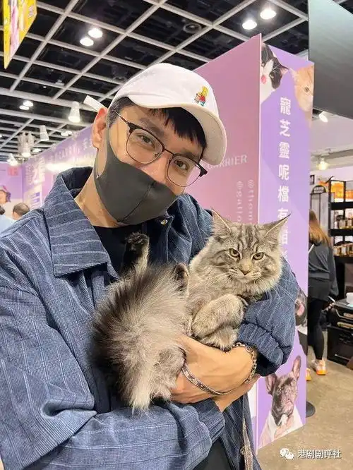  爱回家男星无惧鼻敏感养两只猫,女友也是爱猫之人