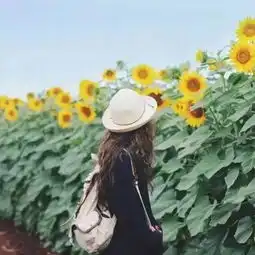  情到深处人孤独,爱到浓时心会痛