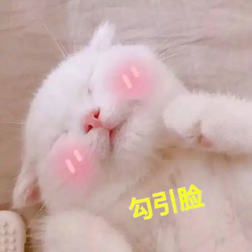 猫系头像二次元半脸