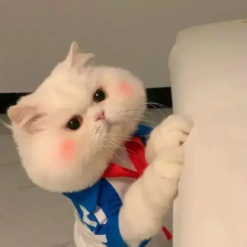 今日头像丨一起做快乐小沙雕 今日头像丨一起做快乐小沙雕