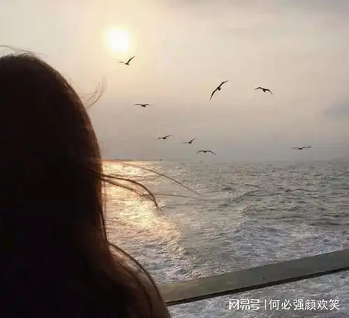 讲究效率的时代,爱情是否真的要那么着急 讲究效率的时代,爱情是否真的要那么着急