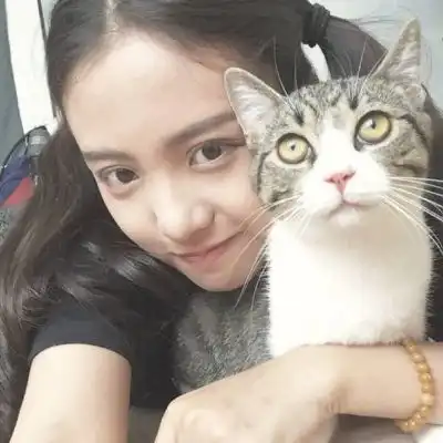  美女抱猫头像抱猫少女微信头像图片大全