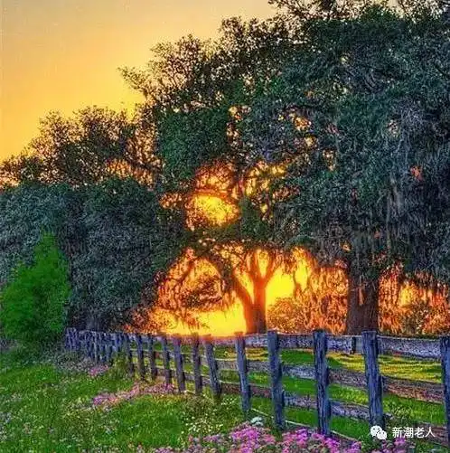  绝世美景,太养眼养心了,让你一眼看到老