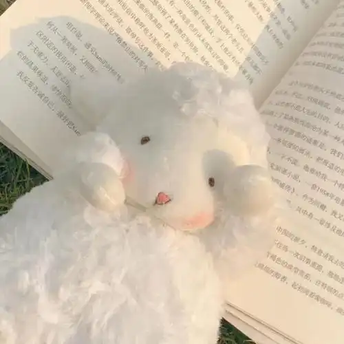  治愈系壁纸愿所至之处皆有光照亮