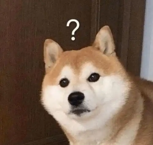闺蜜头像高级黑色系狗狗