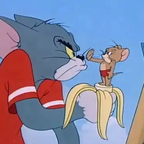  头像猫和老鼠