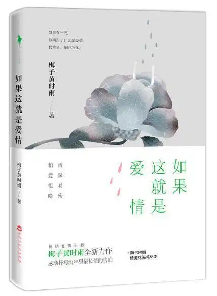  作家专访梅子黄时雨禁欲系男主,井柏然比较有感觉