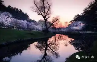  非日系的日本,也可以这么惊艳