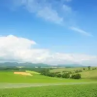  绿色养眼头像大自然绿色清新气息