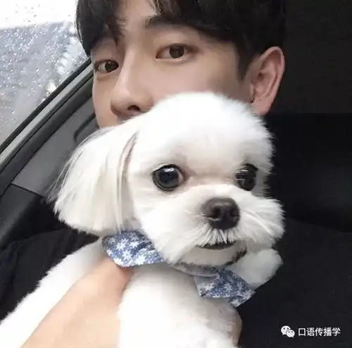 2018年上半年流行语了解一下 2018年上半年流行语了解一下