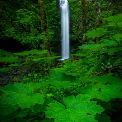 壮观的瀑布美景微信头像,湍急的水流奔涌着太美丽了 壮观的瀑布美景微信头像,湍急的水流奔涌着太美丽了
