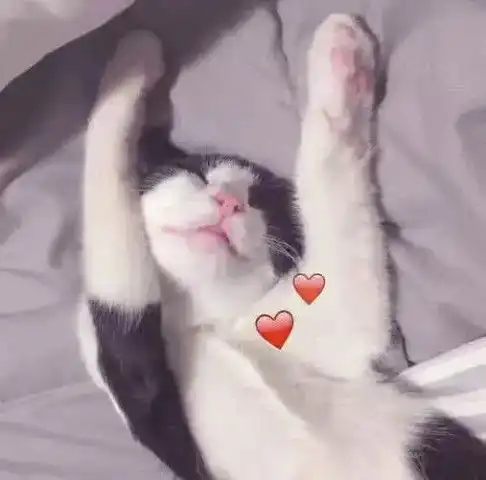 vip超奶思情头作业替你写完了,该亲亲我了吧 vip超奶思情头作业替你写完了,该亲亲我了吧