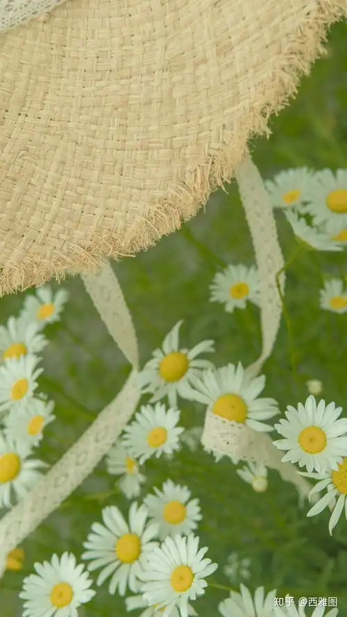 我可以成为你手机里的一员吗绿色系养眼壁纸,爱自己,爱时光,爱你 我可以成为你手机里的一员吗绿色系养眼壁纸,爱自己,爱时光,爱你