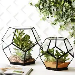 宁可食无肉,不可居无绿 宁可食无肉,不可居无绿