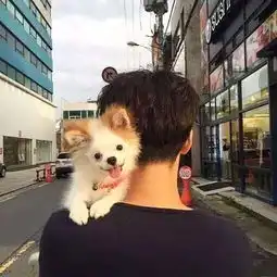 霸气鹿头像系头像男背影