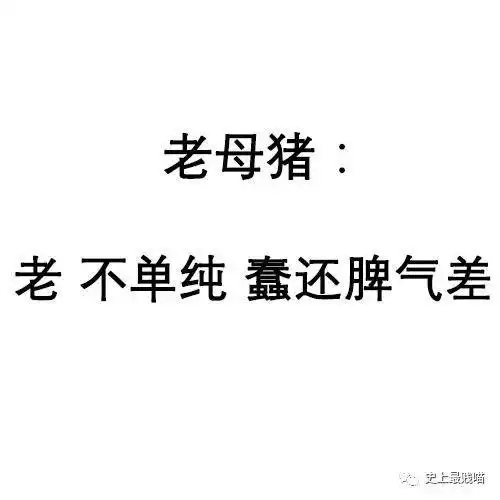  热点继犬系男孩之后,您的猫系女孩已上线