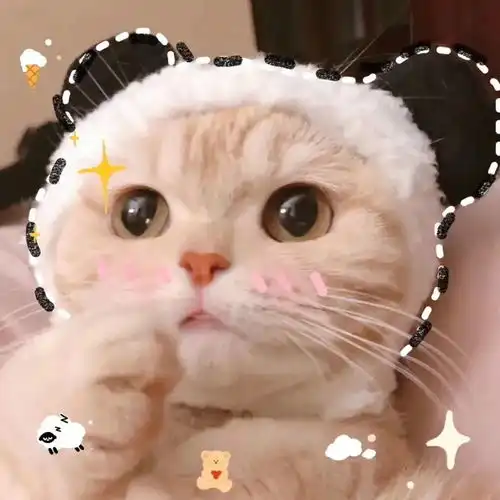  情头一定要一起养只宠物呀