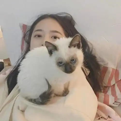  头像欧美时尚