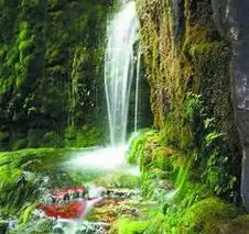 河南图片第84页河南 河南图片第84页河南