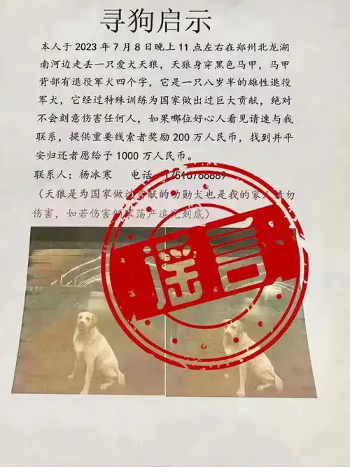  1000万寻狗拘留最新警情通报来了