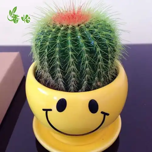 家中不能乱摆的5种不详物,摆错财神不进家门 家中不能乱摆的5种不详物,摆错财神不进家门