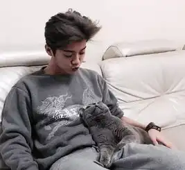  傻狍子鹿晗和他的猫大爷,互相嫌弃却生死相依