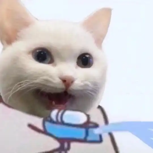 猫系女友的头像可爱金鱼