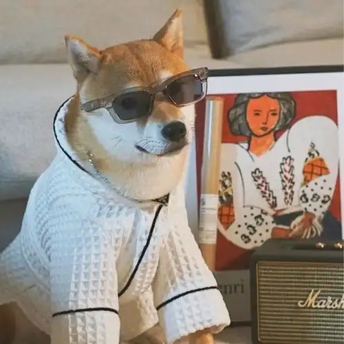 学够勾儿拍照适合周末发的文案 学够勾儿拍照适合周末发的文案