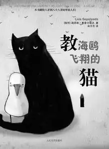  教海鸥飞翔的猫