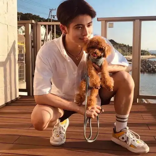 一组值得收藏的明星头像集合 一组值得收藏的明星头像集合