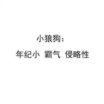  猫系女友,犬系男友,太写实了