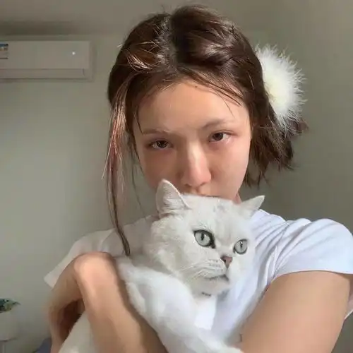 猫系女友的头像可爱任性